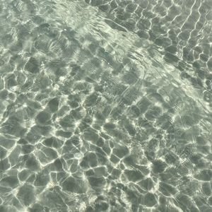 Meet your Posher, Mallory